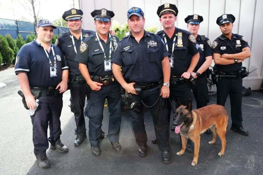 Police Officers And Canine