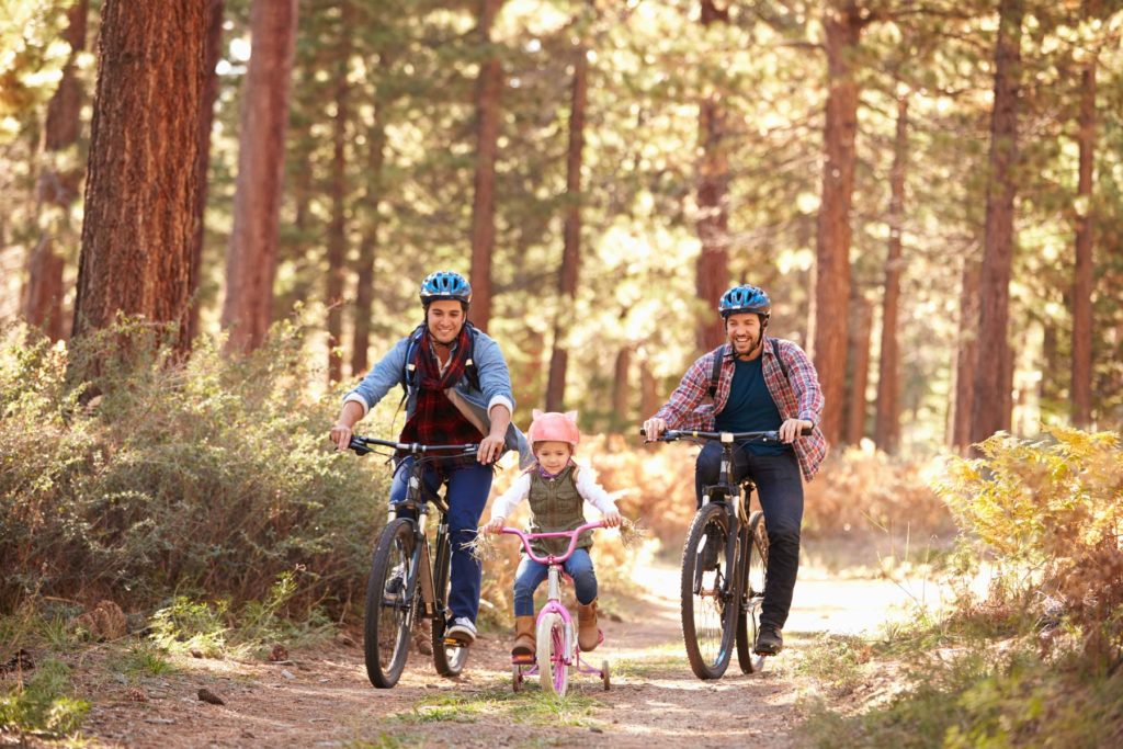 Couple And Child Riding Bikes In Forest