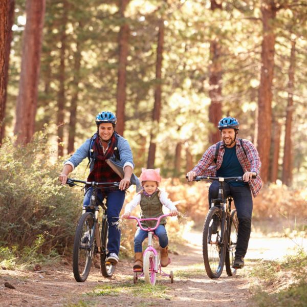 Couple And Child Riding Bikes In Forest