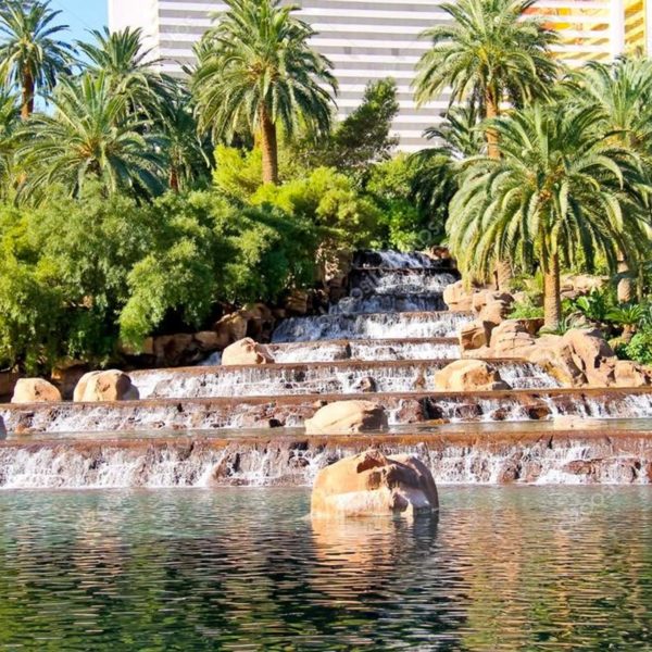 Waterfall and Palm Trees