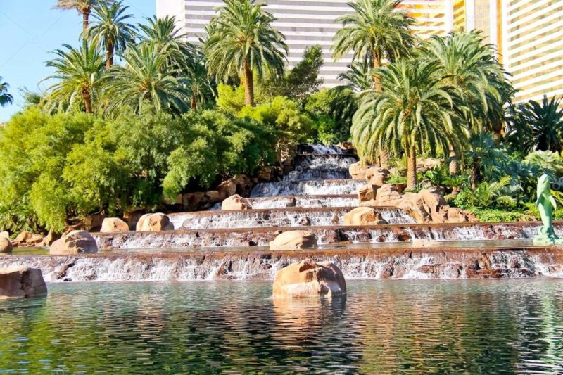 Waterfall and Palm Trees